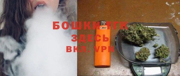 дурь Арсеньев